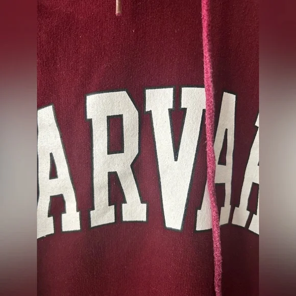 Thick and oversized Harvard printed hoodie - Picture 2 of 11